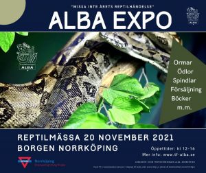 ALBA Expo 2021