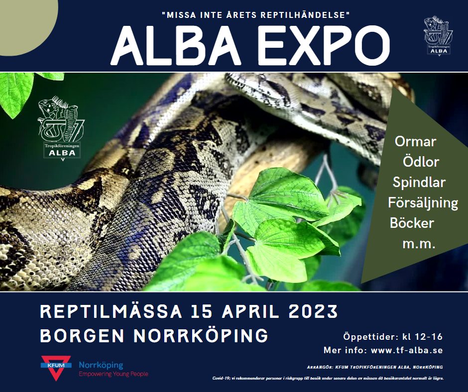 Alba Expo Reptilm ssa I Norrk ping KFUM Norrk ping alba-expo-reptilm-ssa-i-norrk-ping-kfum-norrk-ping